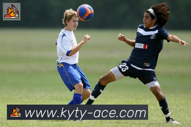 开云APP 体育赛事宣传图